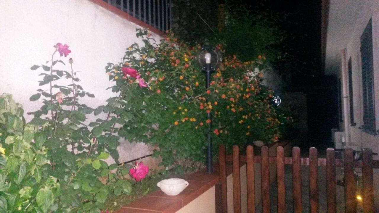 Villa Sunshine Balestrate Zewnętrze zdjęcie